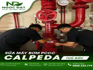 Sửa máy bơm PCCC Calpeda Thủ Đức